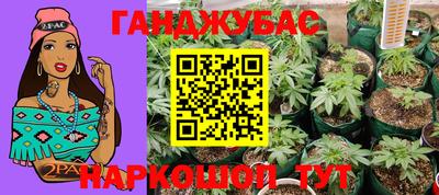 крисы Гусиноозёрск