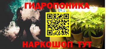 крисы Гусиноозёрск