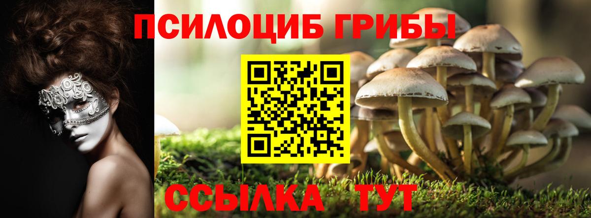 Галлюциногенные грибы ЛСД  Вход с VPN  как найти наркотики  Медногорск 